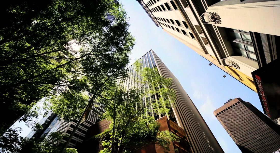 video_agency_contact_preview